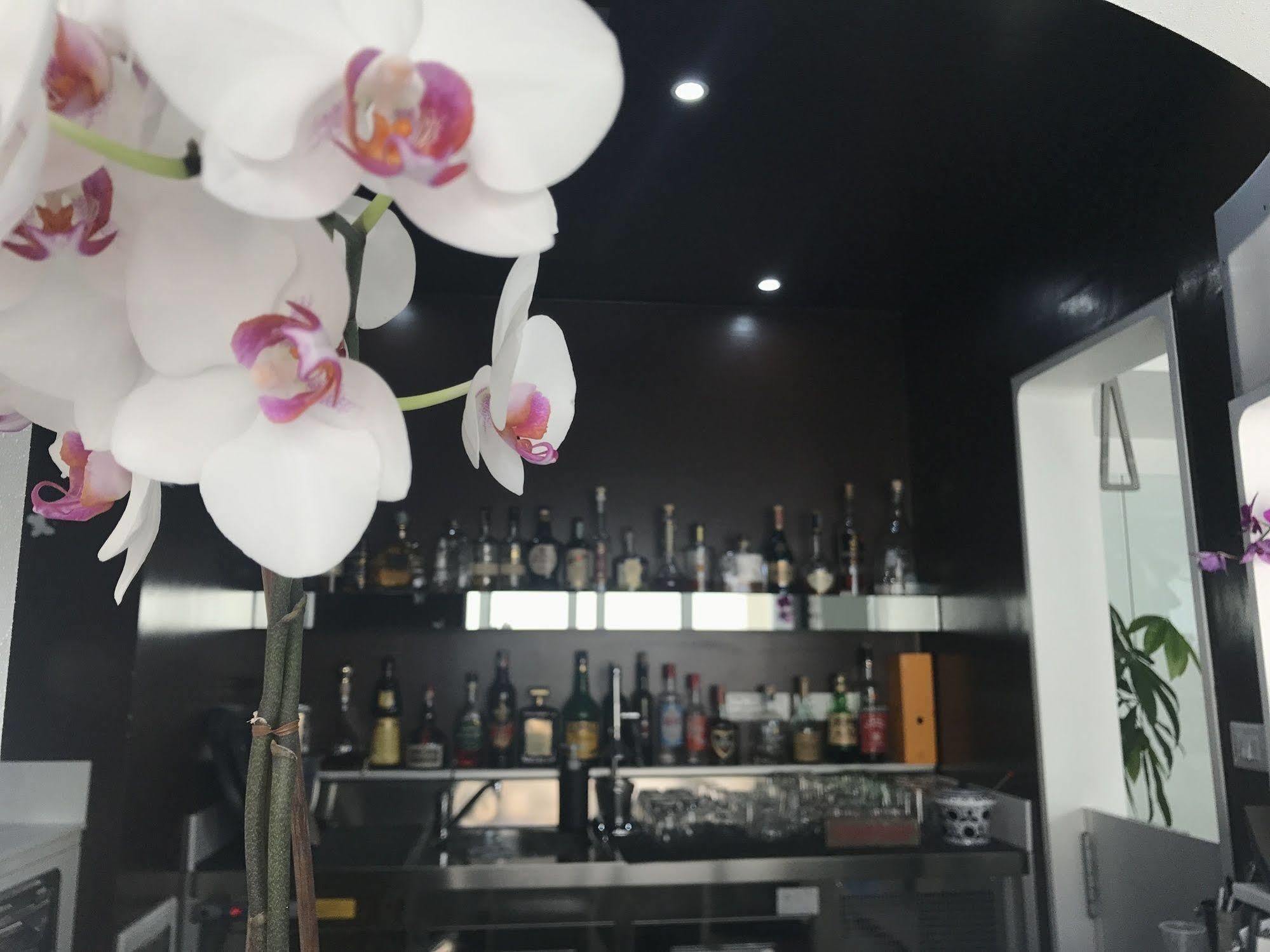 Quihotel بورتو سيساريو المظهر الخارجي الصورة